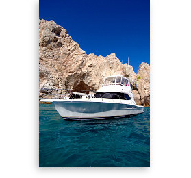 cabo san lucas fishing charter