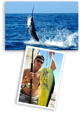 cabo san lucas fishing charter