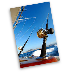 cabo san lucas fishing charter