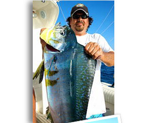 cabo san lucas fishing charter